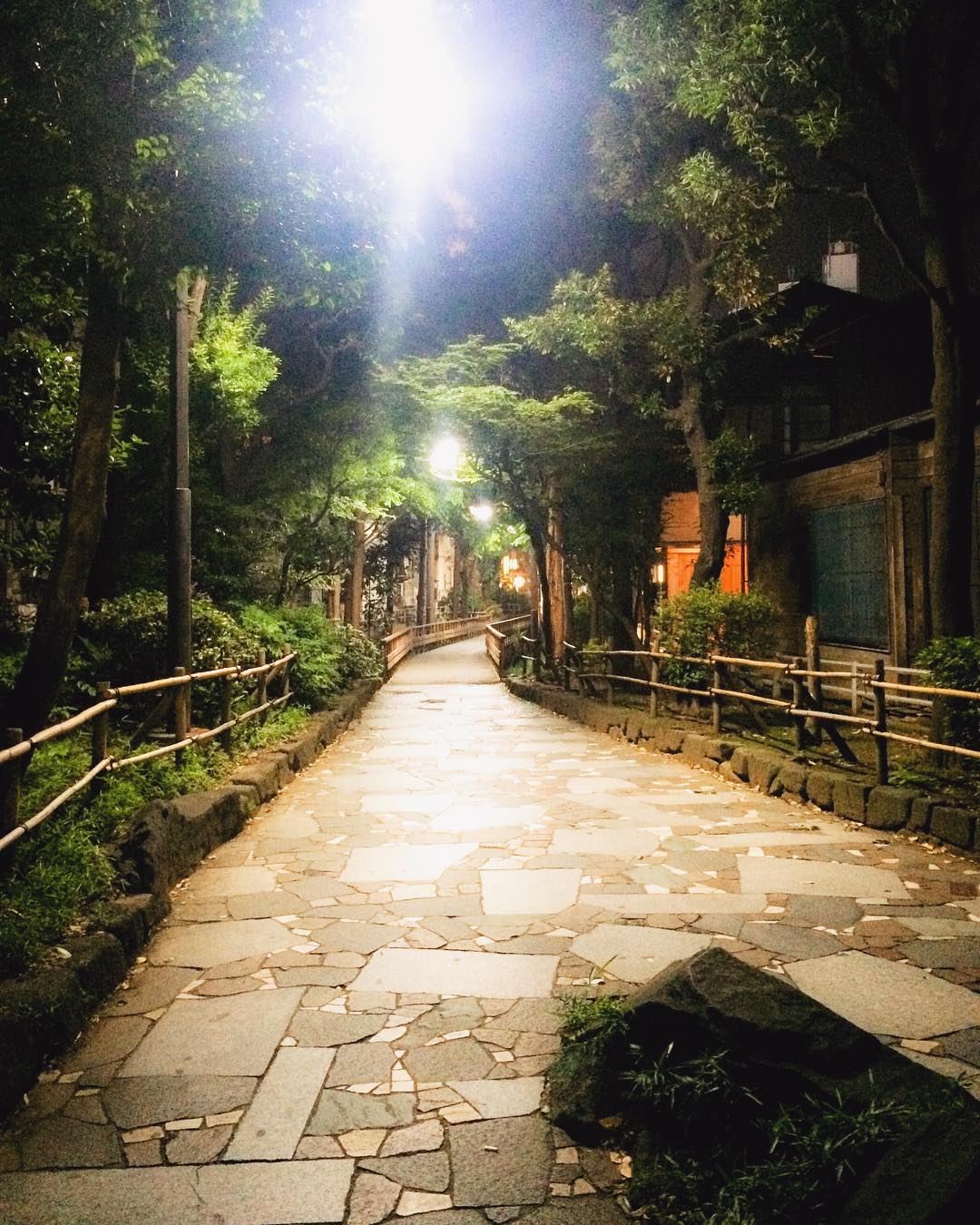 Vanessa Rallonza: Quaint Stone Path Amid Vibrant Autumn Leaves in Tokyo