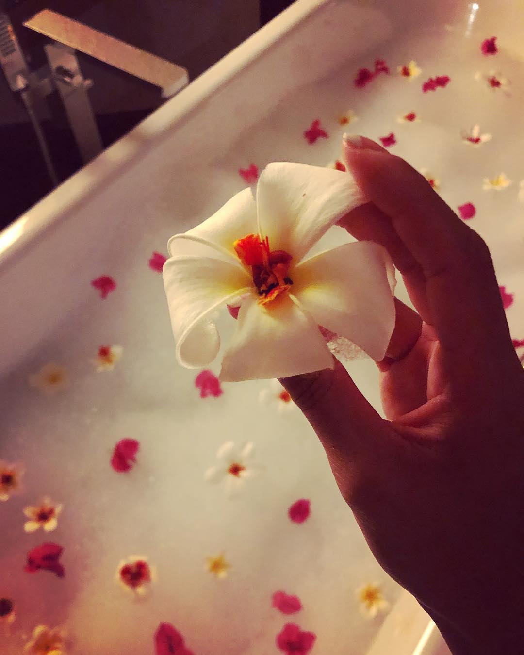 Vanessa Rallonza: Tranquil Elegance with Floral Arrangement