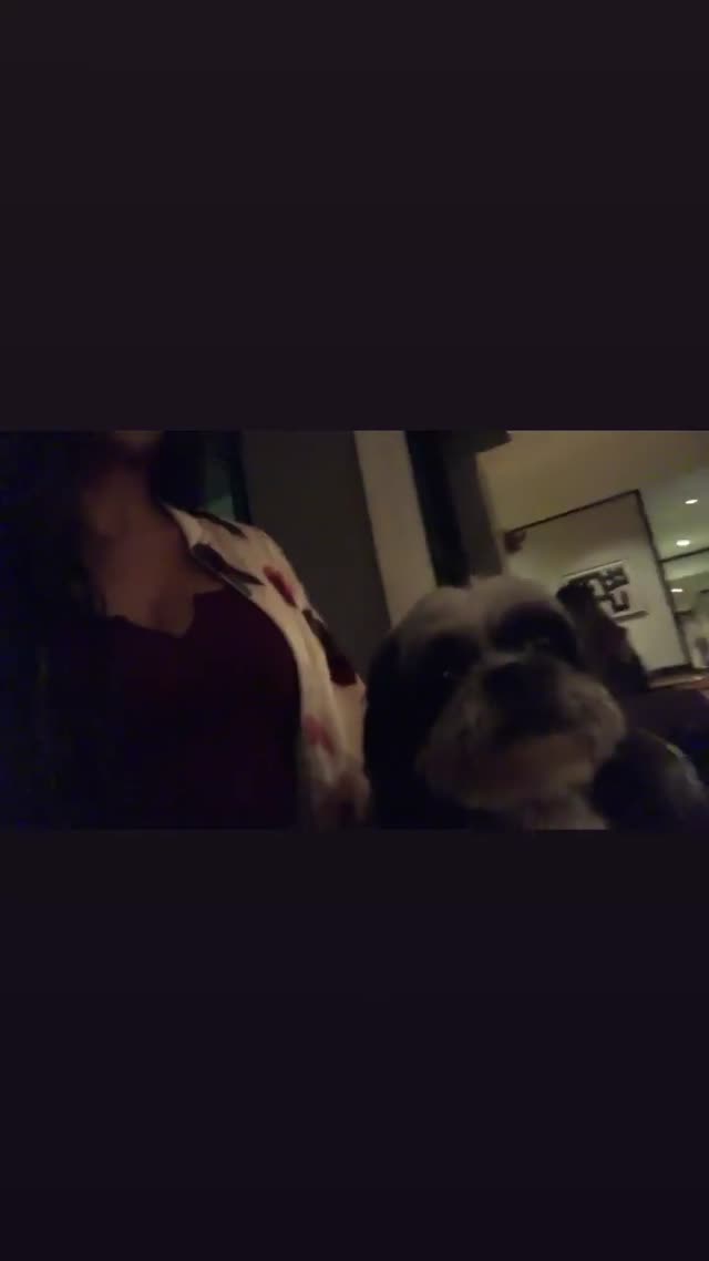 Vanessa Rallonza Heartwarming Dog Bond (Video)
