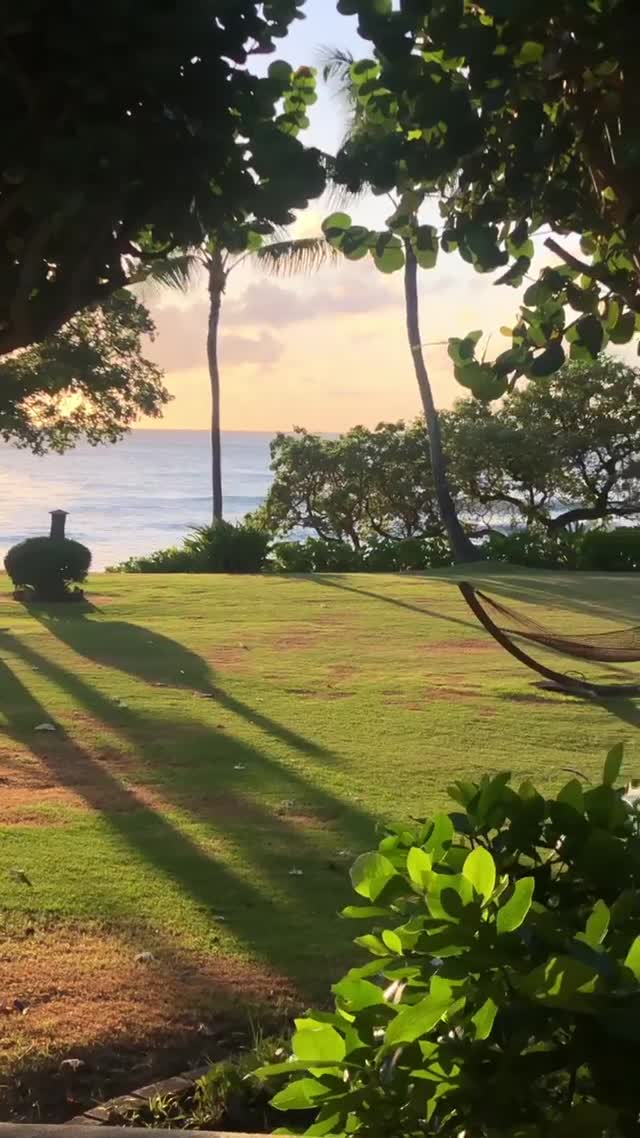 Vanessa Rallonza Tropical Escape Serenity Bliss (Video)
