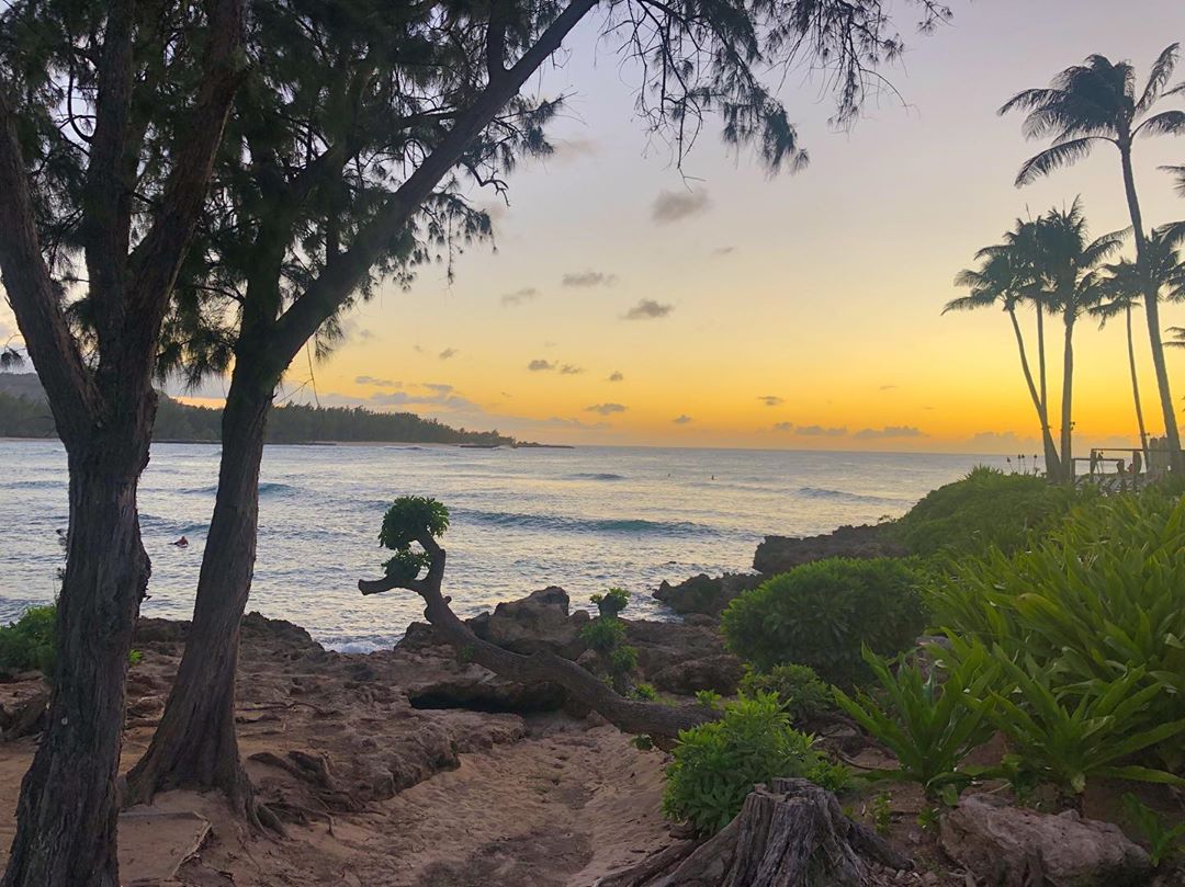 Vanessa Rallonza: Sunset Beach Glow - Golden Hour Palm Trees & Tranquil Waters