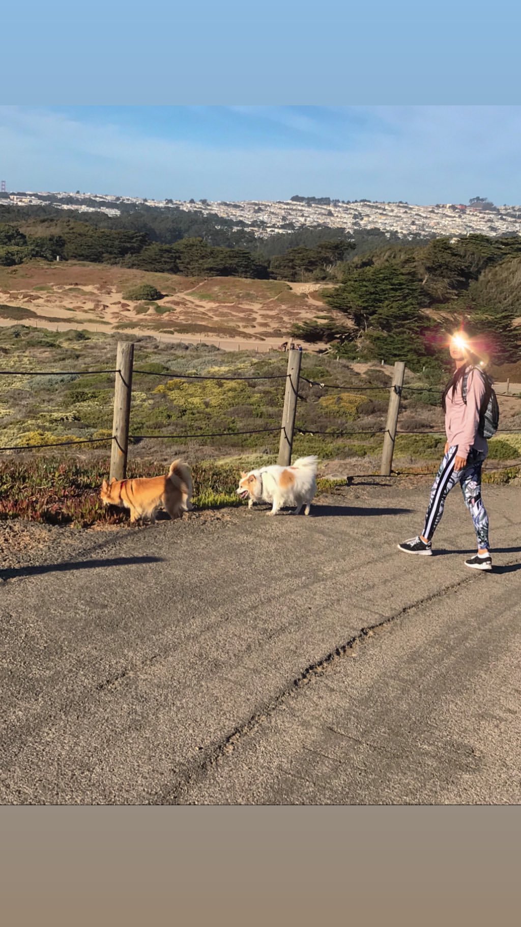 Vanessa Rallonza: Graceful Country Stroll with Loyal Companion
