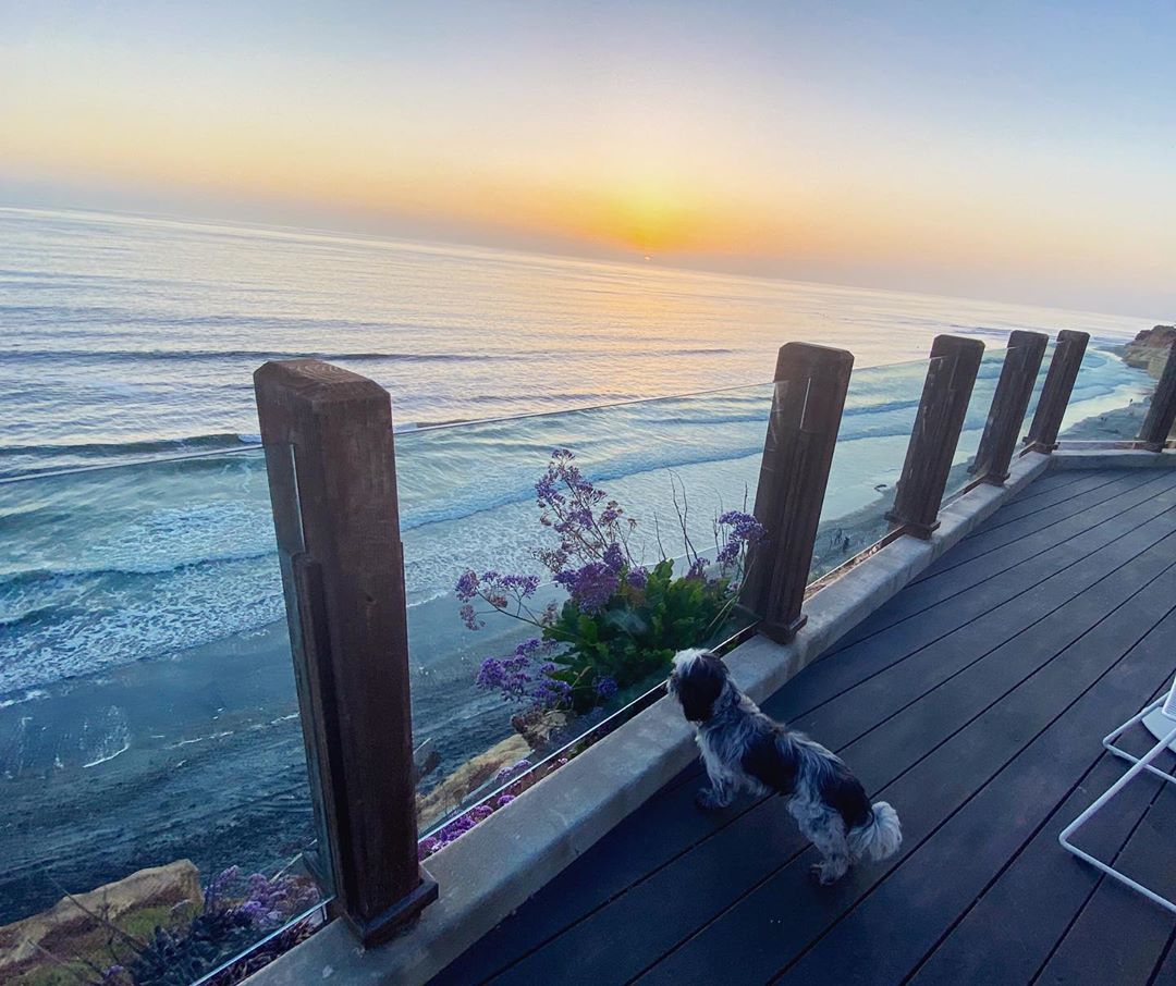 Vanessa Rallonza's Sunset Dog Love: Cozy Deck Gaze